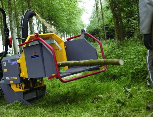 Cippatura Noccioleti: Trasformare gli Scarti in Risorsa