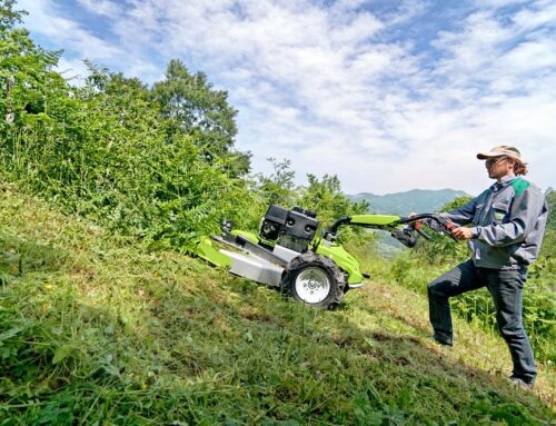 Trincia Grillo Pianfei: Massima Resa nei Castagneti